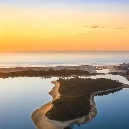 L'ecureuil スーストン