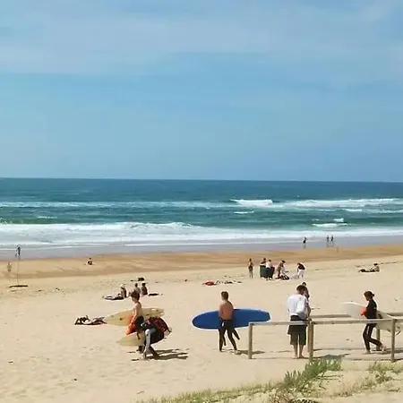 L'ecureuil 別荘 スーストン