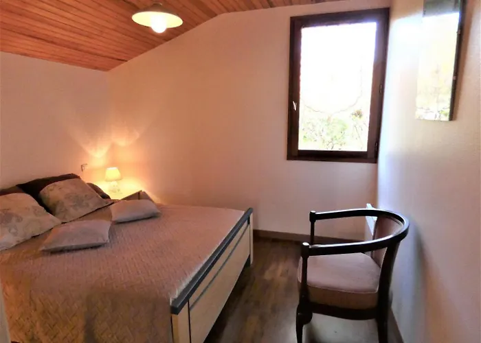 L'ecureuil Tatil Evi