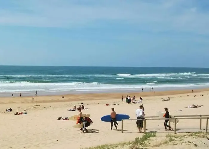 L'ecureuil Tatil Evi Soustons